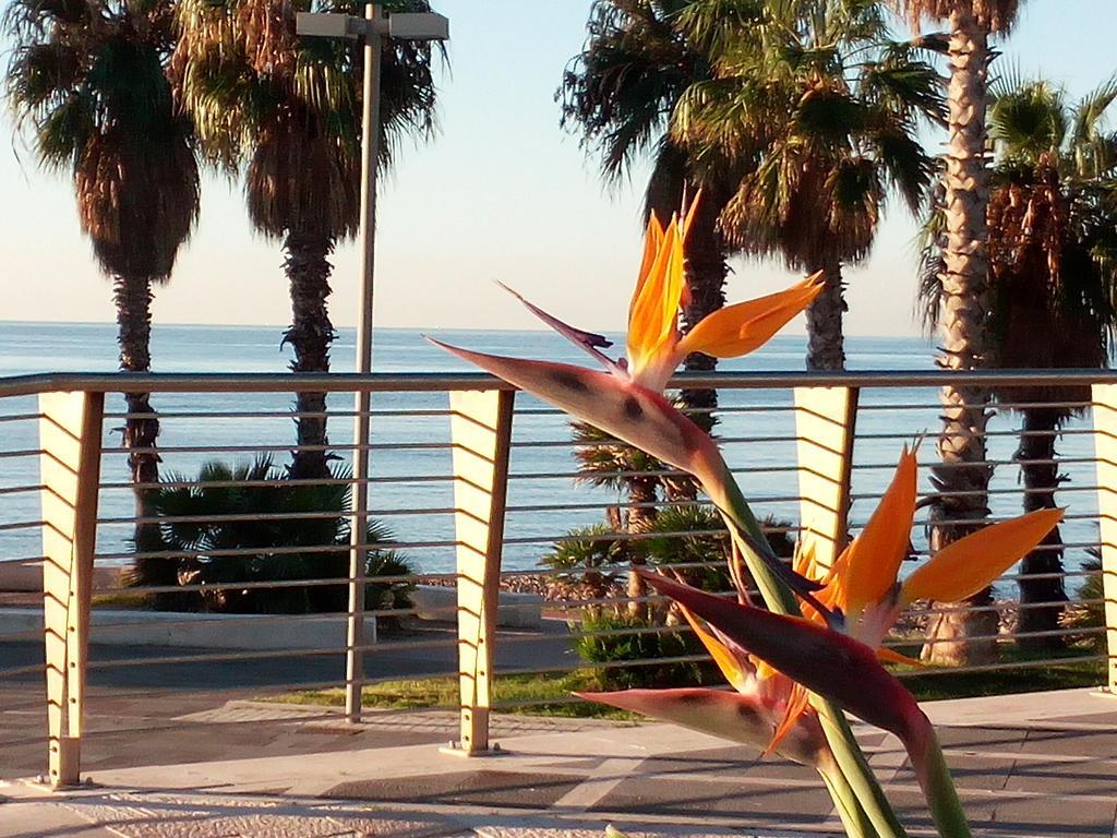 Residence Stendhal Guest House Civitavecchia Luaran gambar