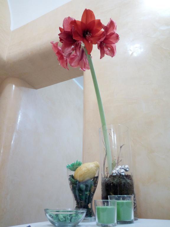 Residence Stendhal Guest House Civitavecchia Luaran gambar